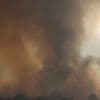 Incendies : plus de 10 000 hectares sont partis en fumée à Chypre
