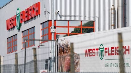 Westfleisch will Vion-Schlachthöfe übernehmen: Konkurrenz für Tönnies