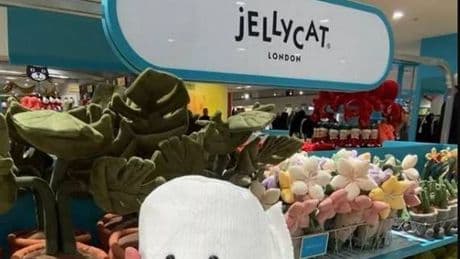 Shoppers rush to grab bestselling Jellycats for £7 instead of £23 with money-saving deal