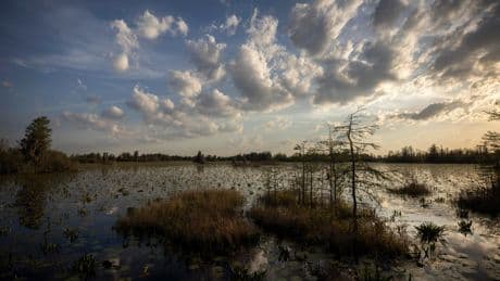 Mining project near the Okefenokee Swamp has stalled over a $2M permit requirement
