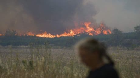 LIVE | Hevige natuurbrand uitgebroken in Zuid-Frankrijk: vuur verspreidt zich razendsnel, al 2400 hectaren getroffen