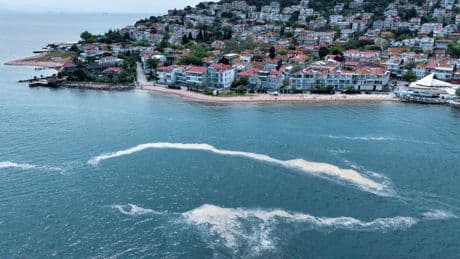 Marmara için yeni tehlike kapıda!