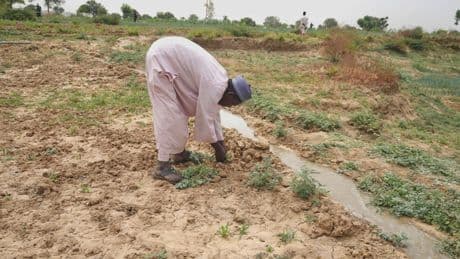Nigeria has a food security problem as water for crops is harder to find