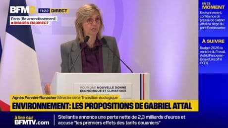 Pour Agnès Pannier-Runacher, l'écologie est "un sujet trop sérieux pour être laissé aux écologistes"