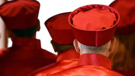 Bundestag wählt Verfassungsrichter: Mit links?