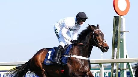 Constitution Hill scratched from Gold Cup at Royal Ascot to 'have a holiday'