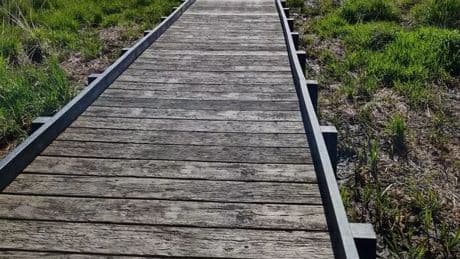 Loch Lomond nature reserve targeted by thieves stealing signs