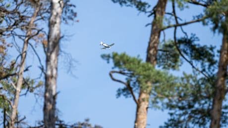 Gefahr für die Natur: Zum Start in den Mai: Sorge vor Waldbränden