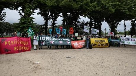 Loi Duplomb : l’ordre des médecins prend position contre, estimant que les « alertes ne peuvent être ignorées »
