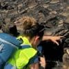 Incendie dans l’Aude : « La faune sauvage n’a pas pu fuir les flammes »