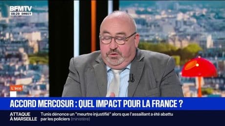 ÉDITO - Quel impact pour la France aura l'accord UE-Mercosur?