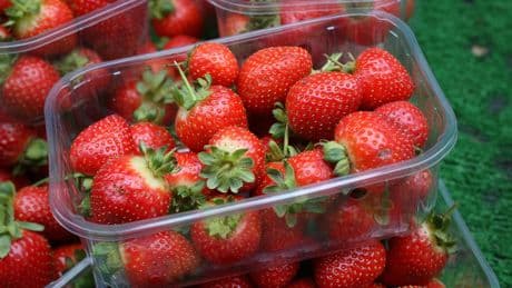 The benefits of summer fruits - including one that'll help you sleep