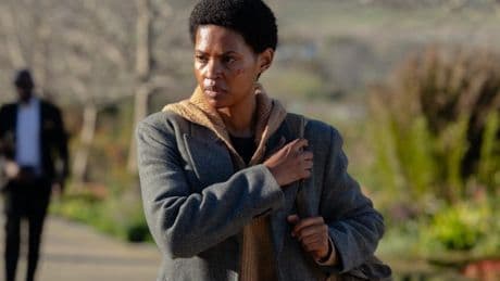 Netflix quietly drops all 6 episodes of ‘amazing’ thriller making fans cry