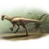 Dog-sized dinosaur that ran around feet of giants discovered