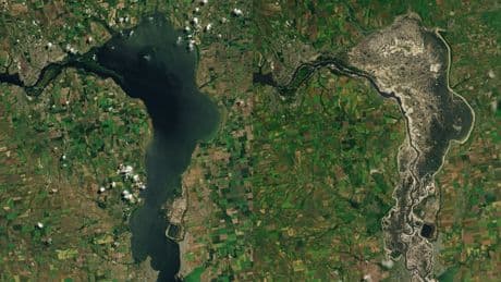 Deux ans après la destruction de ce barrage ukrainien, une immense forêt a envahi l'ancien réservoir