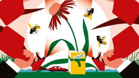 Sur l’écologie, le gouvernement affaibli et divisé navigue à vue, alors que des discussions cruciales sont attendues