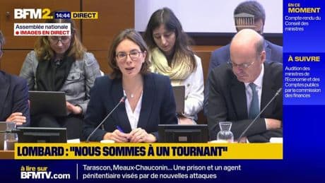 Amélie de Montchalin veut faire "un grand coup de ménage" dans les niches fiscales