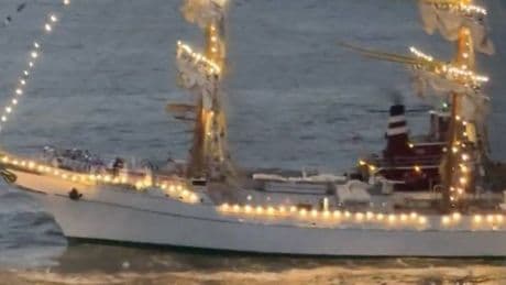 Brooklyn Bridge horror as 270ft Mexican training vessel crashes into it with 'multiple people in water'
