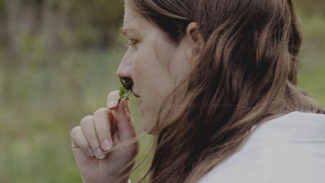 Virginia Farmers Are Reviving a Tradition of Harvesting Herbs