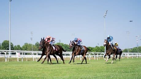 Ippodromo Snai, dove lo sport diventa intrattenimento