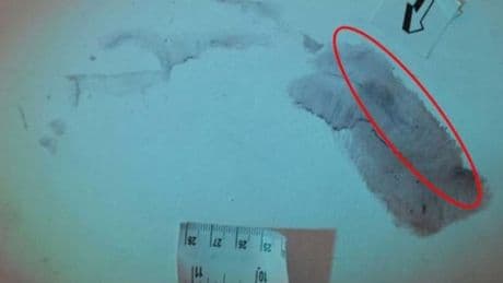 Garlasco e l'impronta 33, la perizia dei consulenti della famiglia Poggi: «Non è di Andrea Sempio»