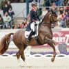 Pferdesport: Comeback nach dem Dressur-Skandal mit 24 Peitschenhieben?