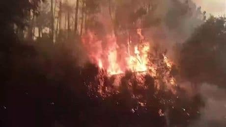 Galicia y Castilla y León, en jaque por las llamas: sólo en Orense los incendios han quemado ya 40.000 hectáreas