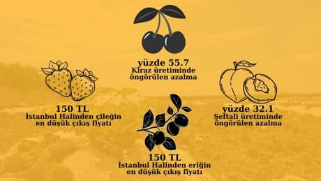 "Aylarca emek veriyoruz, hasadı öngöremiyoruz"