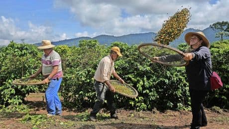 Rekordumsätze: Wie fair ist Fairtrade wirklich?