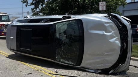 Sex-crazed insects cause car to flip with drivers warned to keep windows closed on roads as the bugs invade US