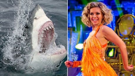 Rachel Riley: ‘I’d rather swim with great white sharks than do Strictly again’