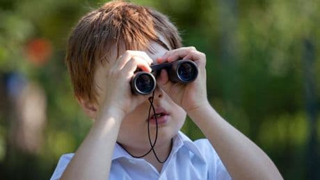 OpenSearch Looks To Deeper Hybrid Analytics