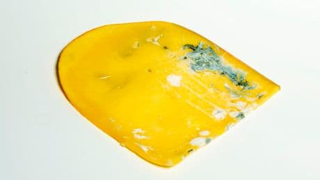 Für die Tonne oder noch essbar - Ist Schimmel am Käse wirklich so schlimm?