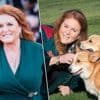 Sarah Ferguson gelooft dat overleden Queen met haar praat via haar corgi’s