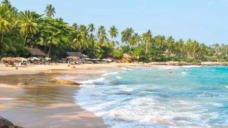 Bag a free room upgrade worth £200 on a 'perfect' 8-day trip to Sri Lanka