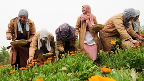 Why Beauty ROI Is Driven By Social Conscience And Sustainability