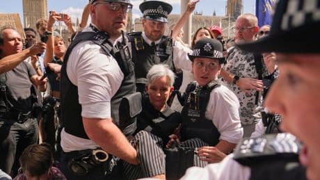 Großbritannien: Fast 500 Verhaftungen bei pro-palästinensischer Demonstration in London