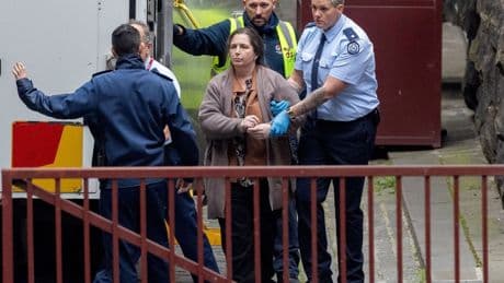 Erin Patterson plea hearing: Ian Wilkinson says he feels ‘only half alive’ without late wife