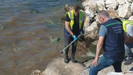 Bakanlık açıkladı! Çevreyi kirletenlere 2.6 milyar TL ceza