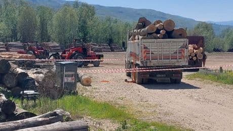 Üzerine tomruk devrilen işçi öldü