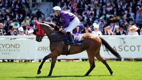 Saturday’s racing tips: Preview, best bets and odds for Ascot and York
