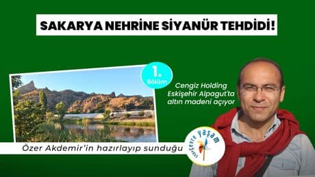 Sakarya Nehri'ne siyanür tehdidi! | Çepeçevre Yaşam