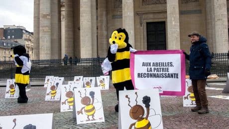 Néonicotinoïdes : chronologie d’une interdiction contestée