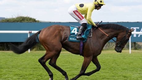 Saturday racing tips: Best bets and odds for day four at York’s Ebor Festival