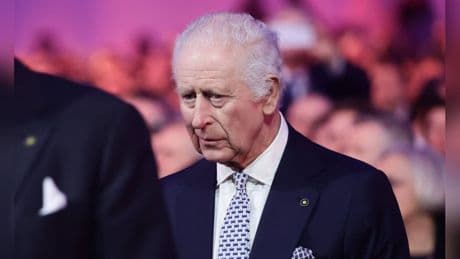 Landsitz von König Charles III.: Sandringham leidet unter Wespenplage