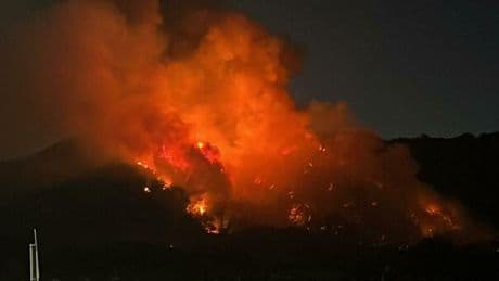 Incendio sul Vesuvio, a fuoco il versante del Monte Somma: nube visibile dal centro di Napoli