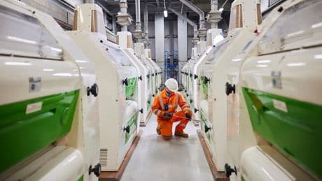Eco-fuel factory’s future in doubt as ABF boss blasts Government’s ‘wretched’ green policy
