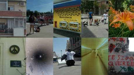 De los gatos funambulistas a las ruinas del amor