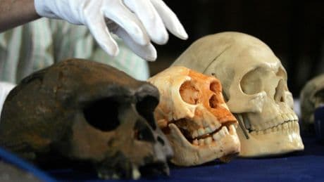 La era de los cazadores de homínidos
