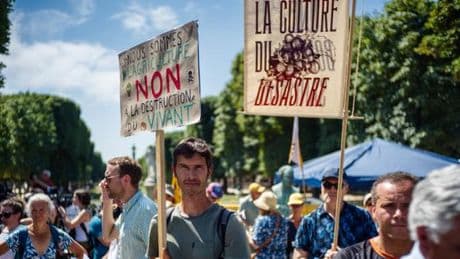 Loi Duplomb : une mobilisation citoyenne d’ampleur inédite